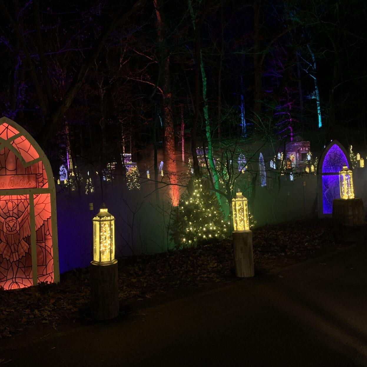 Winter Woods Spectacular (14).JPG